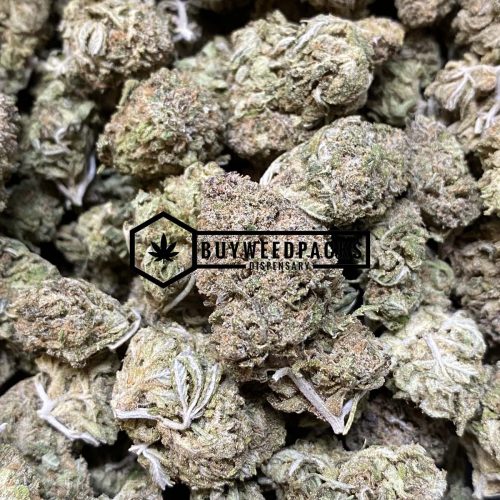 Super Silver Haze Online Dispensary Canada Buyweedpacks