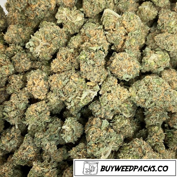 Popcorn - Silver Haze Wholesale