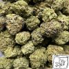 Alien Cookies Wholesale