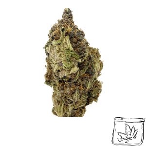 Gary Payton | Buy Weed Online | Buy Weed Packs