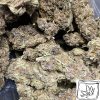 Gary Payton Wholesale | Buy Weed Online | Buy Weed Packs