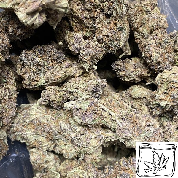 Gary Payton Wholesale | Buy Weed Online | Buy Weed Packs