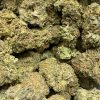 Screwhead OG Wholesale | Buy Weed Online | Buy Weed Packs