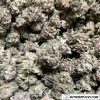 Tuna Kush Popcorn Wholesale