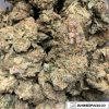 Cheap Weed - Cali Bubba