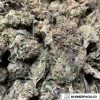 Cheap Weed - Screwhead OG