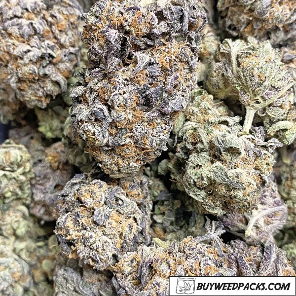 Purple Cheesecake