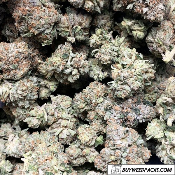 Kosher Kush Wholesale