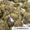 Shishkaberry Wholesale