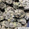 Purple Haze Wholesale