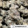 Blue Dream Wholesale