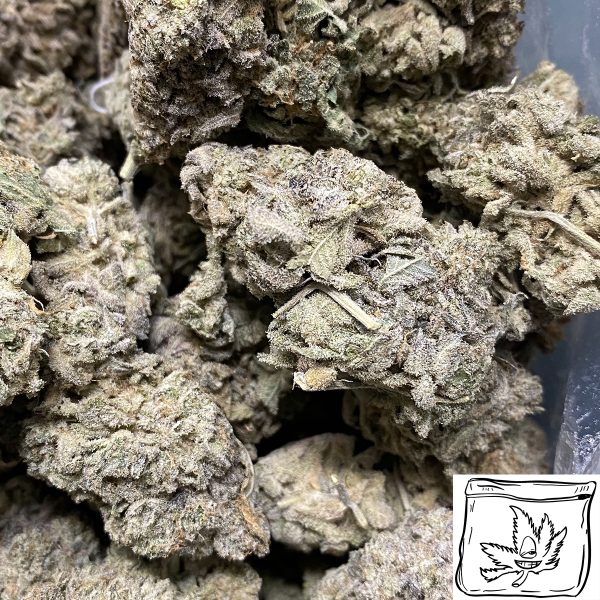 Atomic Northern Lights Wholesale