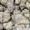 Ice Cream - Wholesale