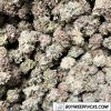 Popcorn - Pink Kush