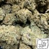 Afghan Purple Kush Wholesale