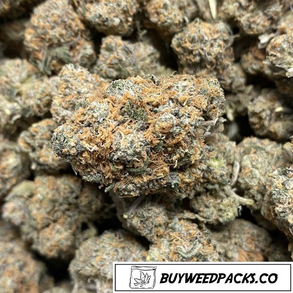 Violator Kush Wholesale