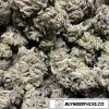 Pink Rockstar Wholesale