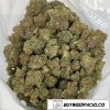 Black Cherry Punch Half Pound