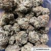 Platinum Girl Scout Cookies Pound of Weed