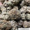 Platinum Girl Scout Cookies Wholesale Weed