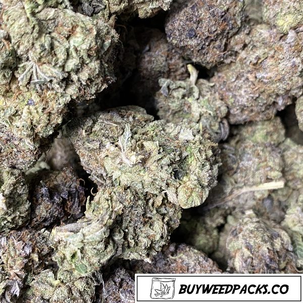 Purple Pink Kush Wholesale