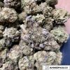 Gelato Pie Wholesale Weed