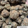 Island Pink Kush Wholesale Weed