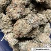 Orange Kush Wholesale Weed