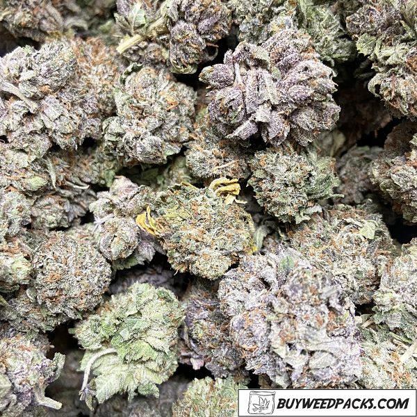 Platinum Purple Kush