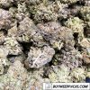 Popcorn - Tuna Kush Wholesale