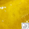 Bulk Shatter - Gorilla Glue #4