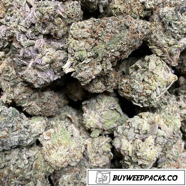 Blueberry Diesel Wholesale