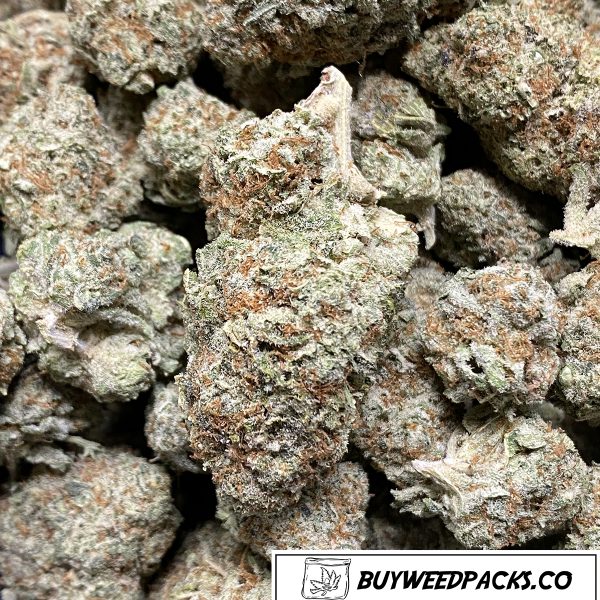 Mango Haze Wholesale