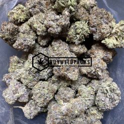 Purple Khalifa Kush - Mail Order Weed - Buyweedpacks