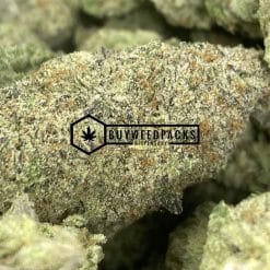Blackberry Haze - Online Dispensary Canada - Buyweedpacks
