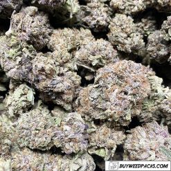 Pink Champagne Wholesale