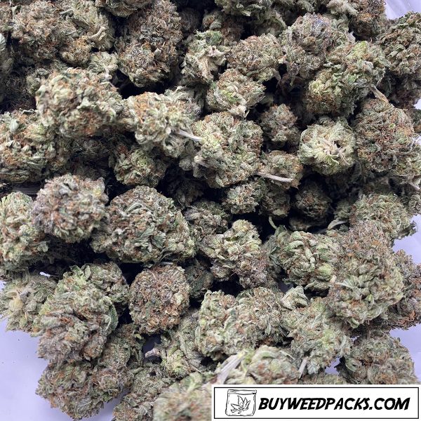 Special Ounce - 9 Pound Hammer