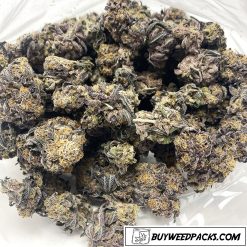 Special Ounce - Paradise Circus