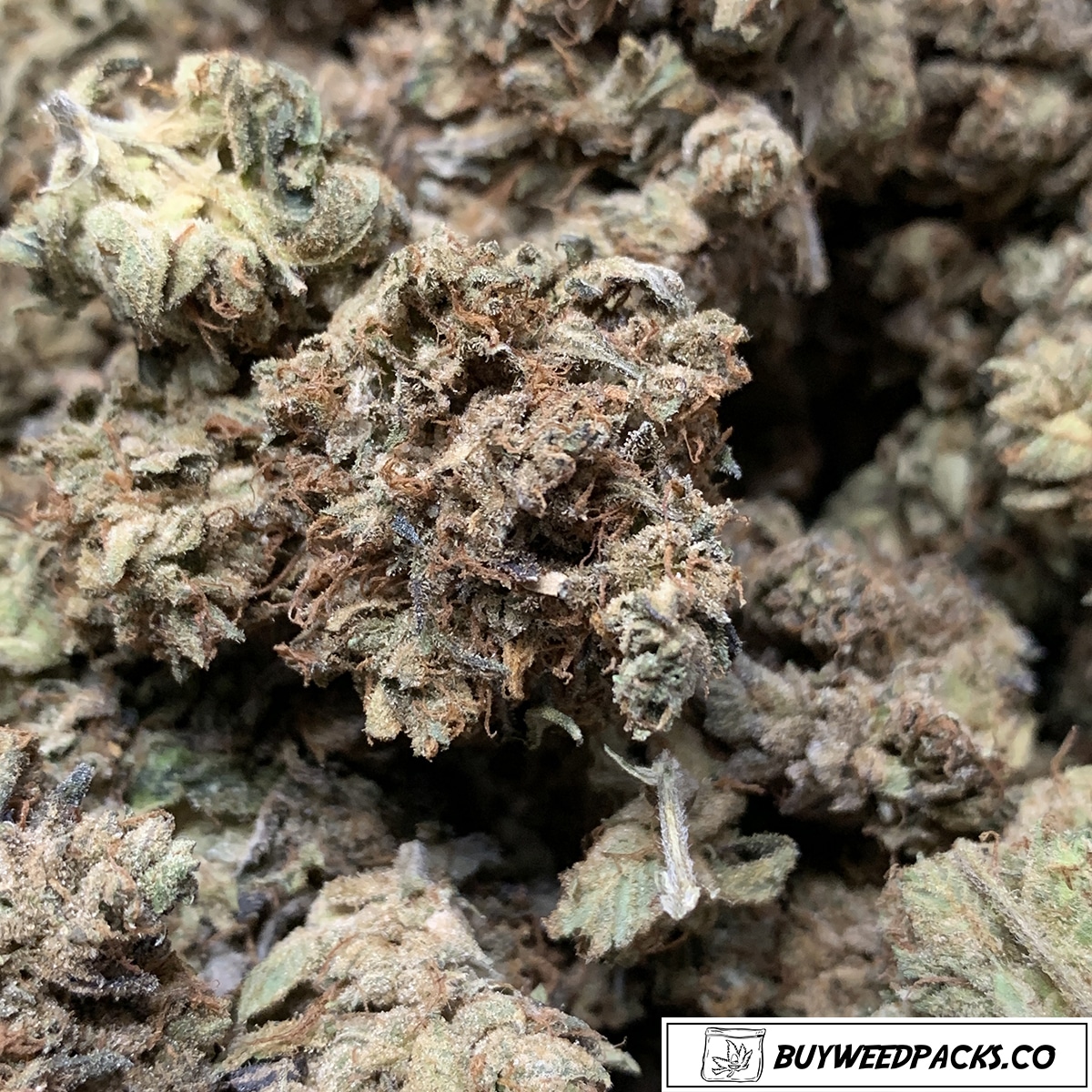 Tuna Kush Online Dispensary Canada Buyweedpacks