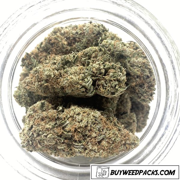 Purple Urkle Online Dispensary Canada Buyweedpacks