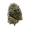 Lindsay OG - Online Dispensary Canada - Buyweedpacks