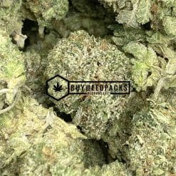Lindsay OG - Online Dispensary Canada - Buyweedpacks