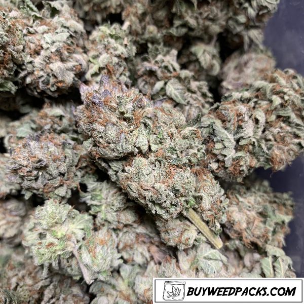 Cheap Weed - Purple Kush