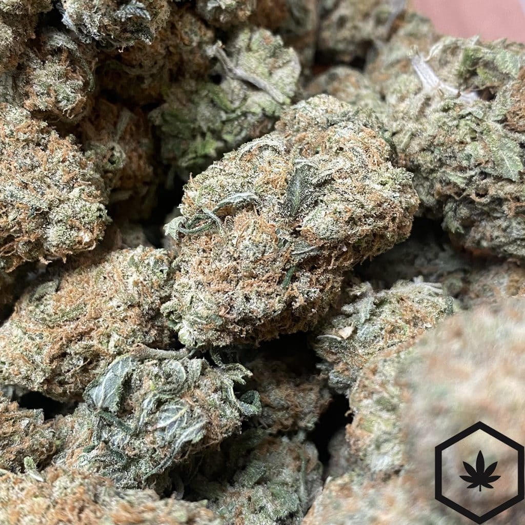 Budget Buds Grapefruit Haze Cheap Weed Canada BWP
