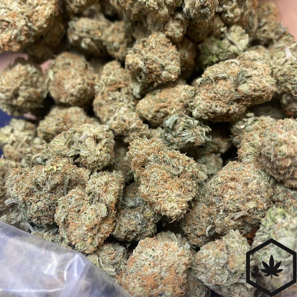 Budget Buds Grapefruit Haze Cheap Weed Canada BWP