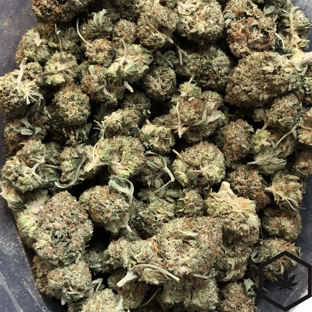 Pink Gas Online Dispensary Canada Buyweedpacks