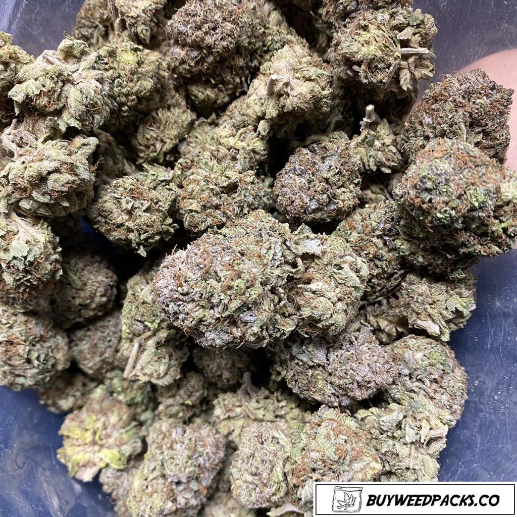 Purple Tuna - Online Dispensary Canada | Buyweedpacks