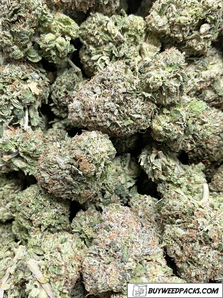 Purple Mike Tyson - Online Dispensary Canada | Buyweedpacks