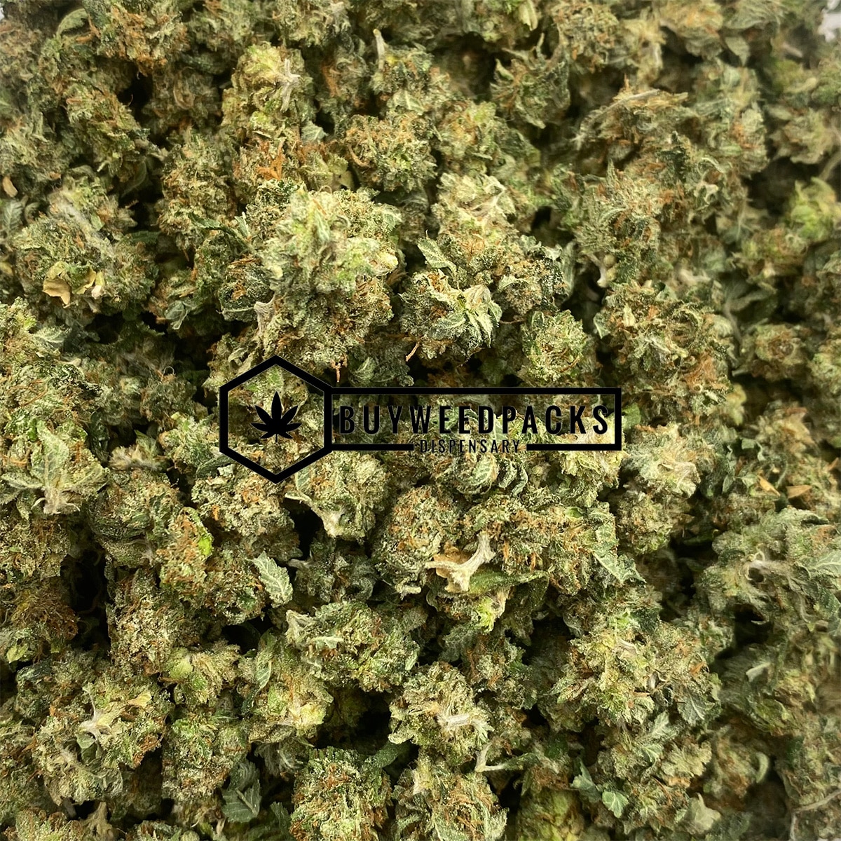 Tangerine Dream Popcorn - Image 3