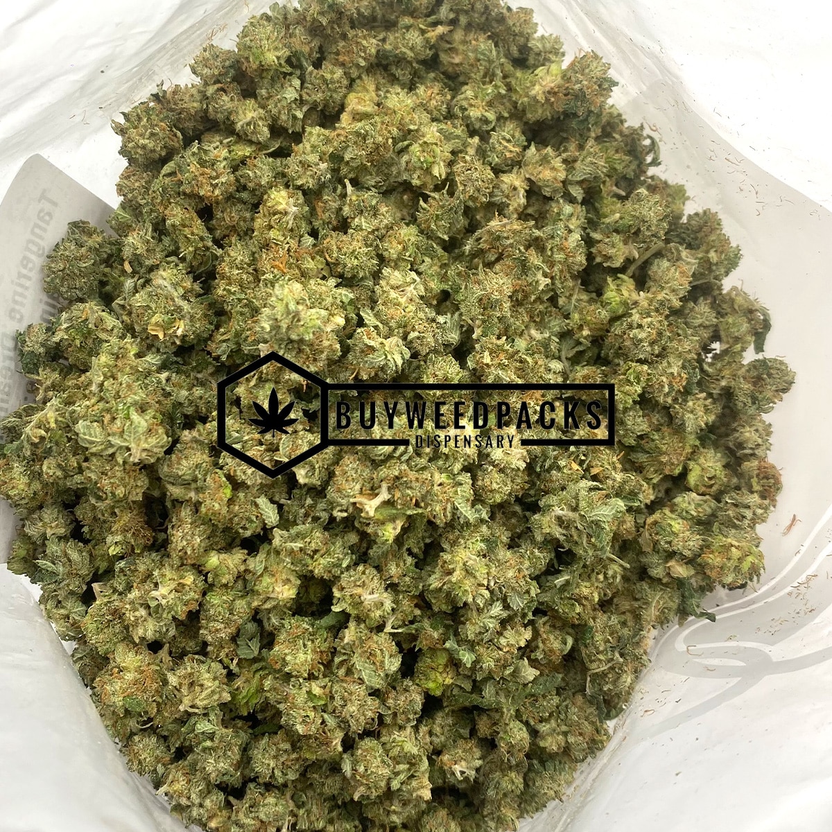 Tangerine Dream Popcorn